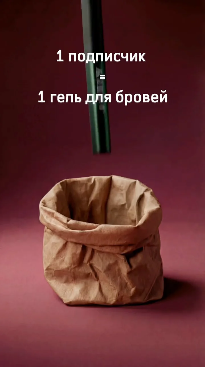 текст «1 подписчик = 1 гель для бровей» и пустой бумажный пакет
